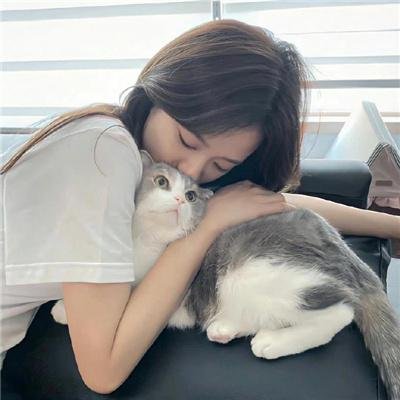陆小凤与花满楼