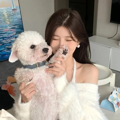 重生退婚妻第二季